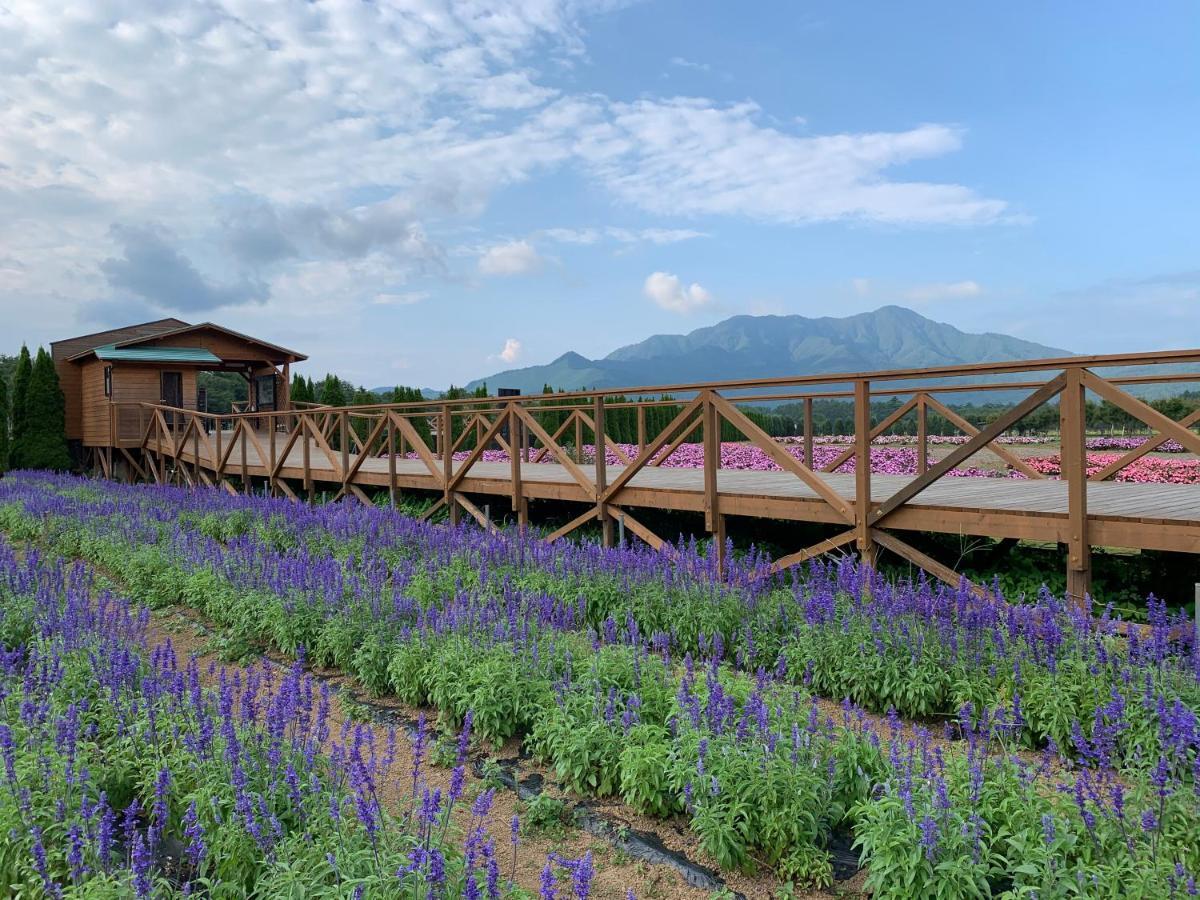 Holiday home Koti Next To Hananomiyako Kouen *